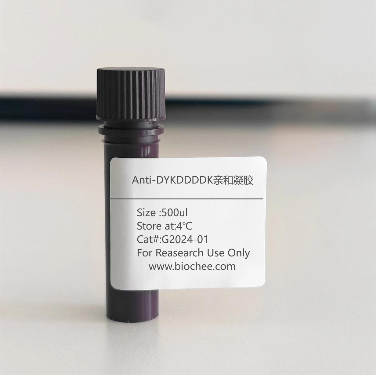 Anti-DYKDDDDK亲和凝胶